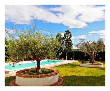 Grottammare Bed & Breakfast | Villa Paola