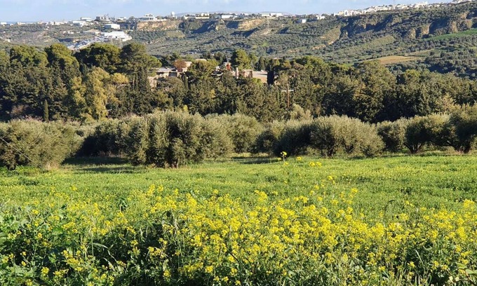 Knosos Villa | Villa Phyllia, a property with history - fifteen minutes from Iraklion airport.