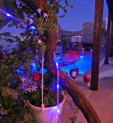 Koyunbaba Villa | Villa Priene - Gumusluk Private Pool