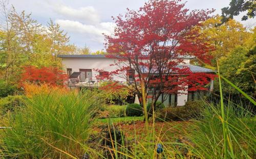Frankenberg House | Villa Ralf