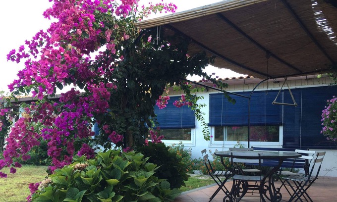 Pianoconte Villa | Villa Rosa dei Venti 2