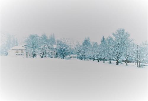 Villanua Ski Chalet | Villa Rosalía