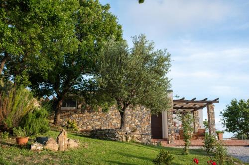 Ascea House | Villa Serra d'Elci