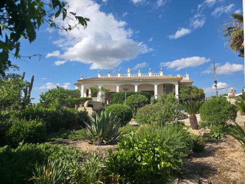 Padula Fede Apartment | Villa Sette Nani