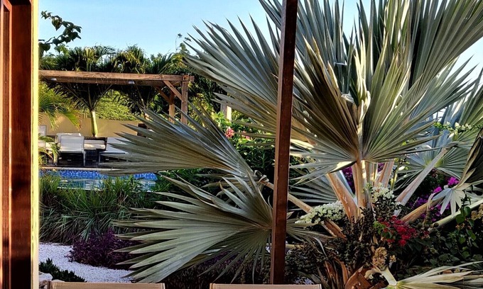 Cas Grandi Hotel | Villa Topzicht Curaçao