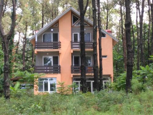 Shekhvetili House | Villa Vachnadze