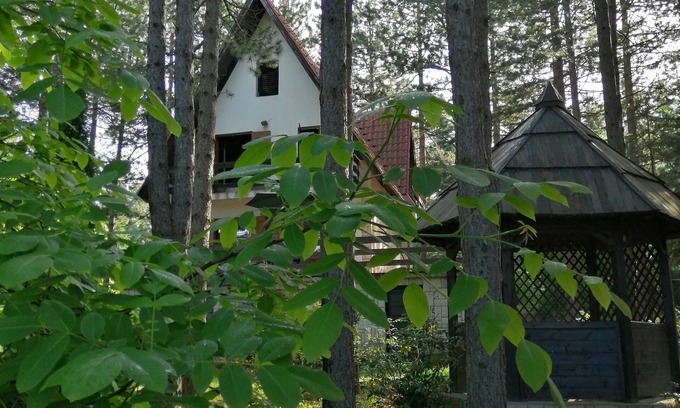 Zlatibor House | Villa Vera; a cozy house in the mountains