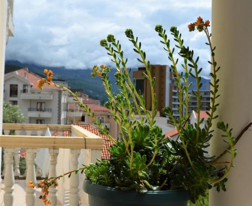 Babin do Apartment | Villa Vujačić