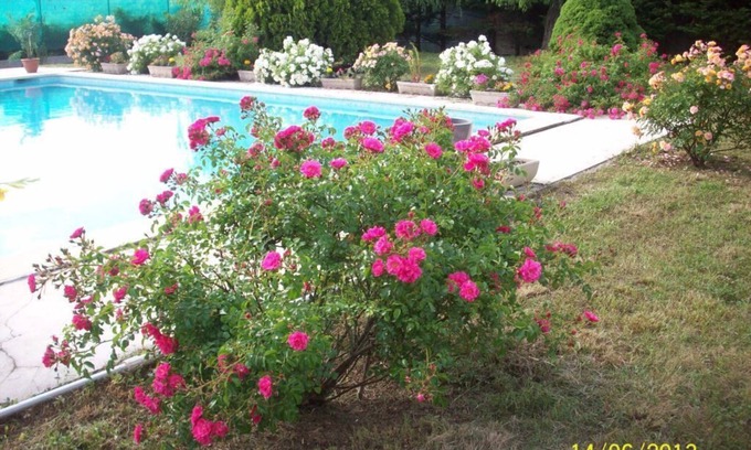 Allegre Les Fumades Villa | Villa with private pool