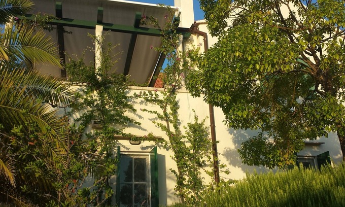 Cove Makarac (Milna) Villa | Villa with stunning views and beautiful garden in quiet location by the sea
