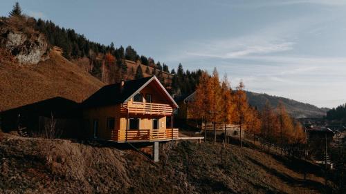 Damuc Ski Chalet | Village Brăduțu