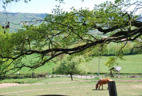 Montagny-sur-Grosne House | Village.insolite