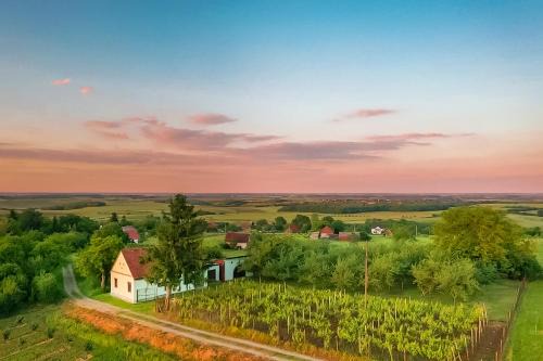 Municipality of Drenje House | Village Wine House