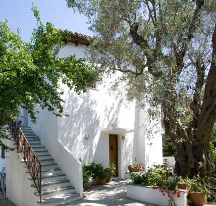 Agia Paraskevi Apartment | Villas Alexandra Skiathos