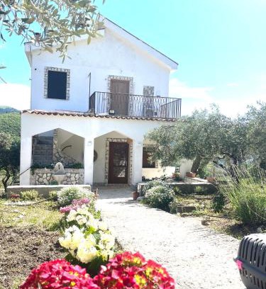 Prizzi House | Villetta con Oliveto CFG