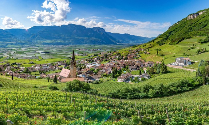 Termeno Sulla Strada del Vino Hotel | Vineus