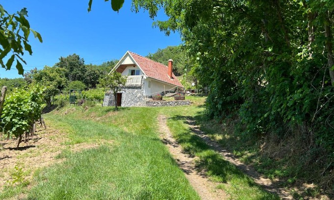 Kaptalantoti Apartment | Vine Cottage