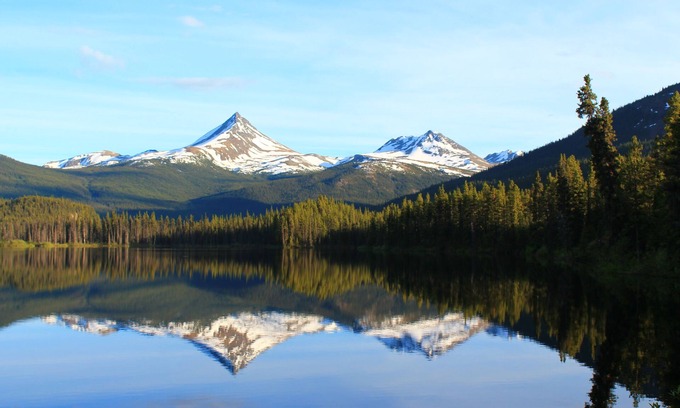 Jade City Cabin | Vines and Puppies Hideaway