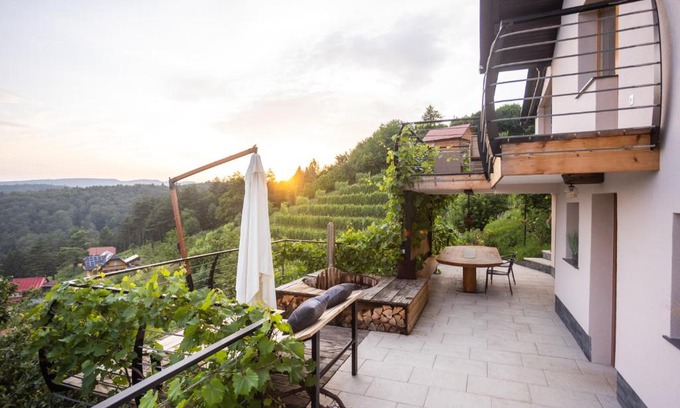 Ivancna Gorica House | Vineyard cottage Sonce