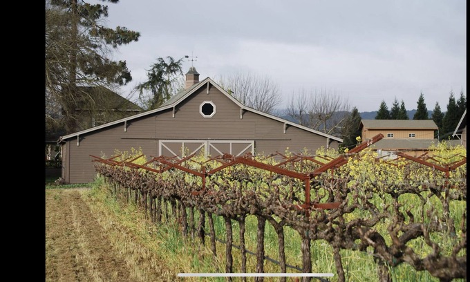 Napa House | Vineyard Farmhouse