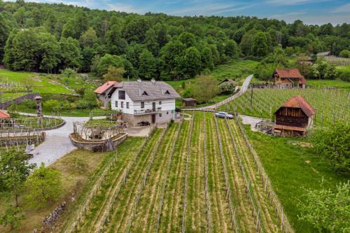 Crnomelj House | Vineyard Homestead Vrtin - Happy Rentals
