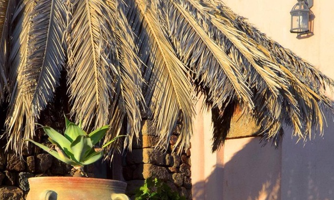 Pantelleria House | [Vineyard View + Garden + Barbecue] "Green Garden Dammuso"n