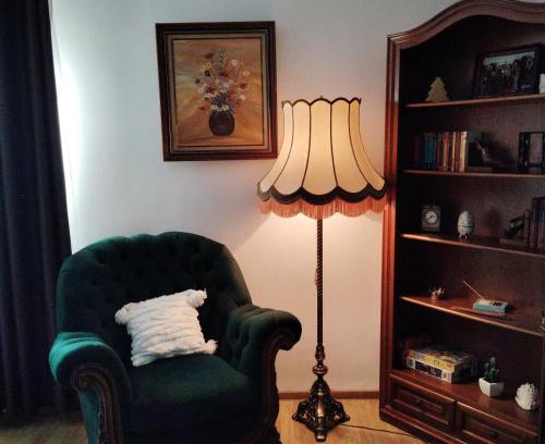 Tirgu Jiu Apartment | Vintage Central Apartament