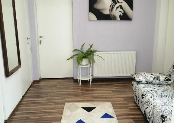 Turda Apartment | Violet House