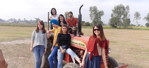Amritsar House | Virasat E Punjab -Farmstay Amritsar
