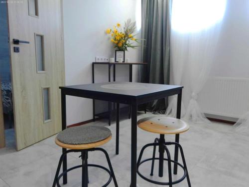 gmina Debe Wielkie Apartment | Vista apartment 4