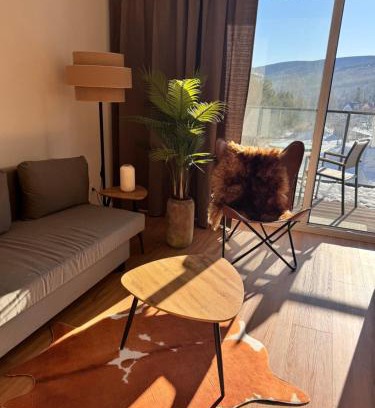 Swieradow-Zdroj Apartment | Vista Izera