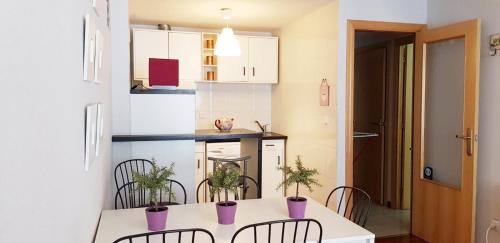 Canfranc-Estacion Apartment | Vivienda Turística Pirineos XXI