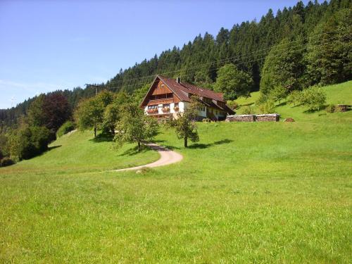 Bad Rippoldsau-Schapbach Apartment | Vogtshof