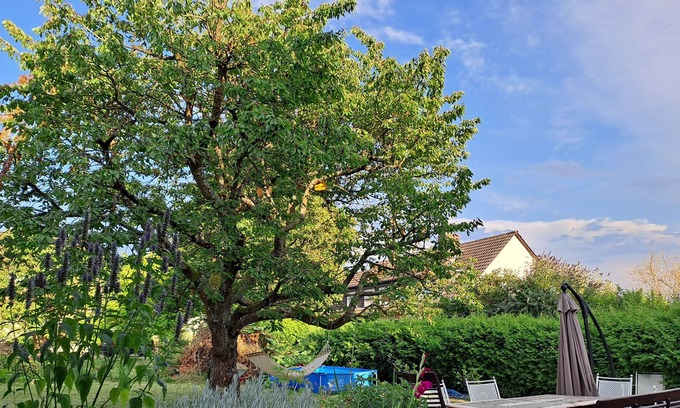 Grafschaft Apartment | Vrbo Property