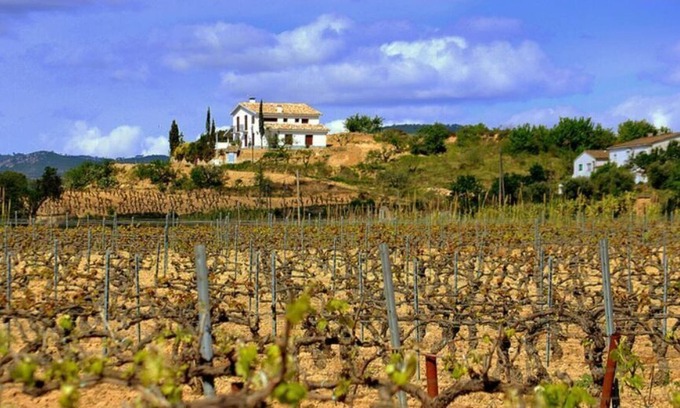L'Avella Villa | Vrbo Property
