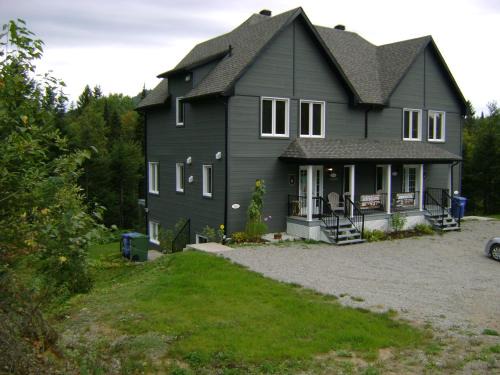 L'Anse-Saint-Jean Ski Chalet | Vue sur la montagne