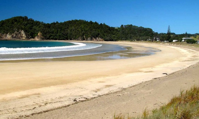 Ngunguru Cabin | Waiotoi NZ - The Bush Hideaway