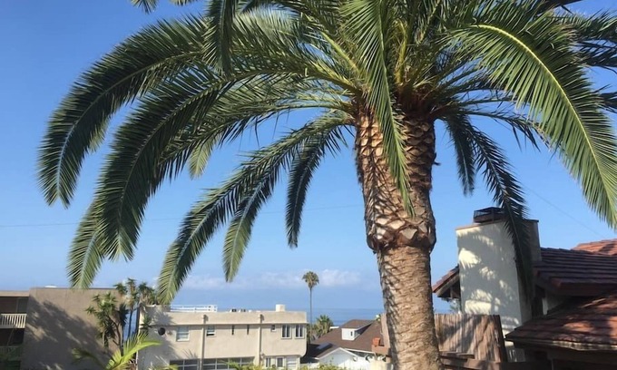 Laguna Beach House | Walk everywhere; Beach 300 steps