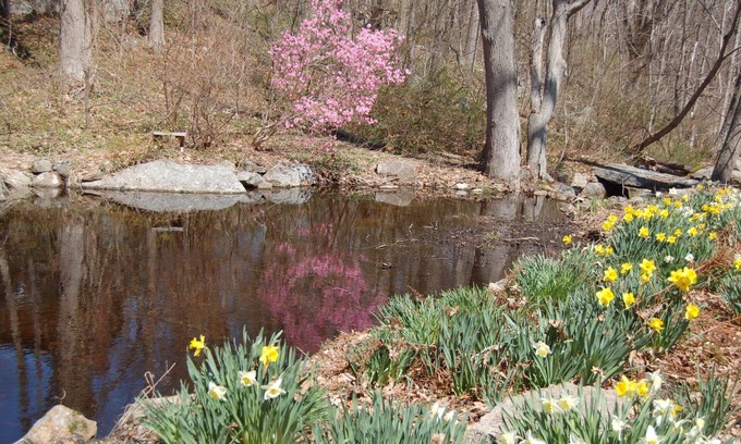 Rockport Apartment | Walk to the ocean, very private. Secluded, woodsy location.