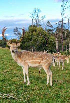 Rawson House | Wally's Edge 20acre Farm Stay