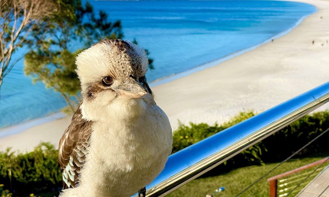 Hyams Beach Apartment | Walters Holiday Flats @ Hyams Beach (Flat 3) - Book 7 nights pay for only 6*