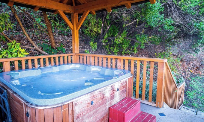 Wanaka Cabin | Wanaka Springs Lodge