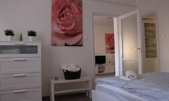 Debrecen Apartment | Wanderer 1