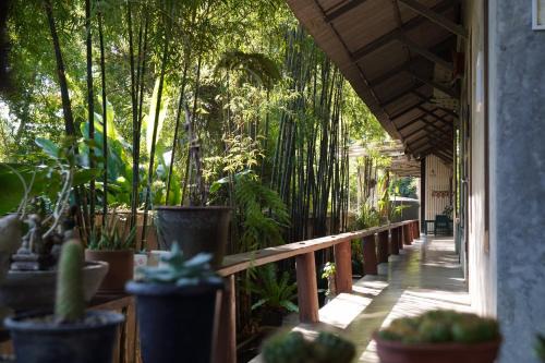 Hai Ya House | Wanmai House