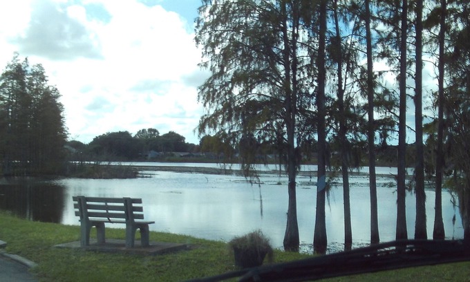 Port Richey House | Warm Winter Vacation with Lots of Activities, Clean, Well Maintained with Charm