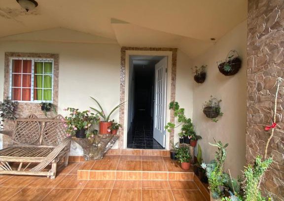 Volcan House | Waser bed