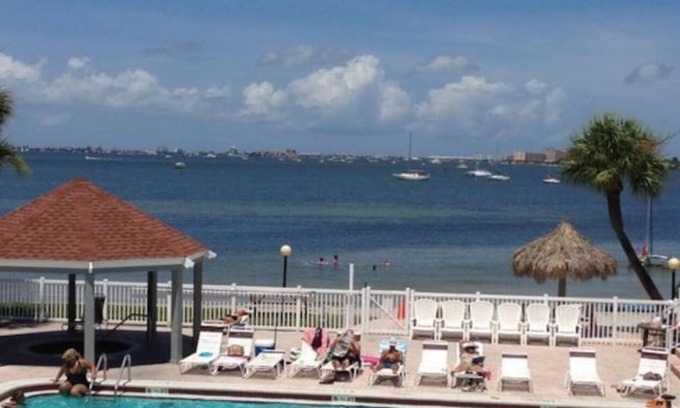 Bayview Condo | Watch Dolphins Play From the Couch . Free Boat Inc . Best Condo in St.Pete . JG