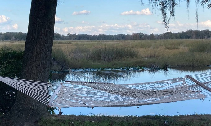 Inverness House | Water Lily Retreat on the Tsala Apopka lake chain. 3 miles from downtown.
