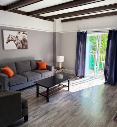 Waterford Valley Apartment | Waterfordbridge Apartments - 1 Bedroom Lower