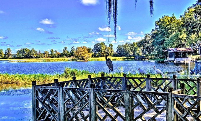 Inverness Cottage | Waterfront Cottage Downtown Inverness, BASS, BIKE, BEER, IT'S ALL HERE!